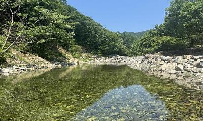 철원 담터계곡, 물놀이 수질검사‘적합’